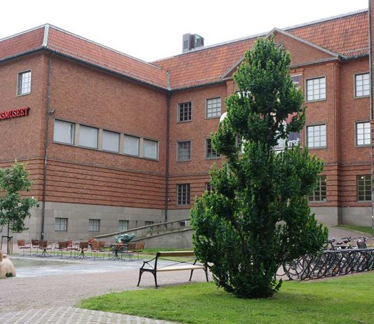 Länsmuseet